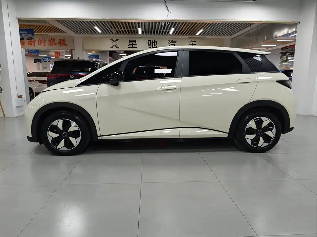 BYD Dolphin — миниатюра 3