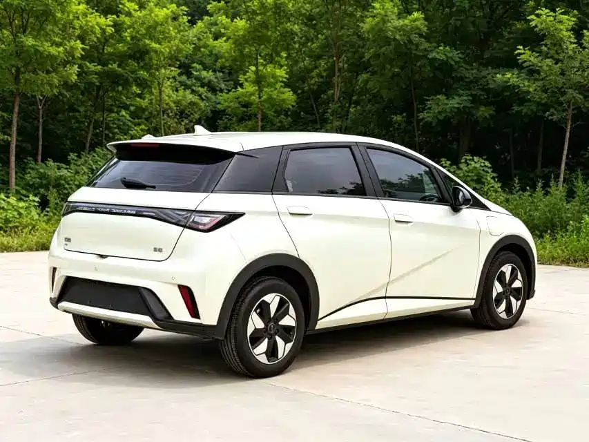 BYD Dolphin — миниатюра 13