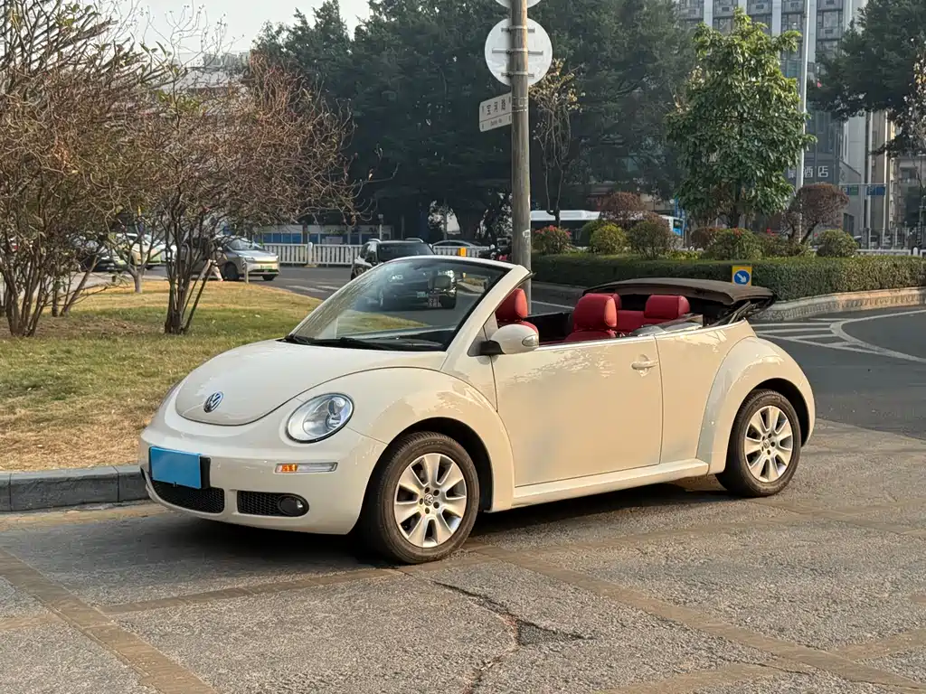 Volkswagen Beetle 2009
