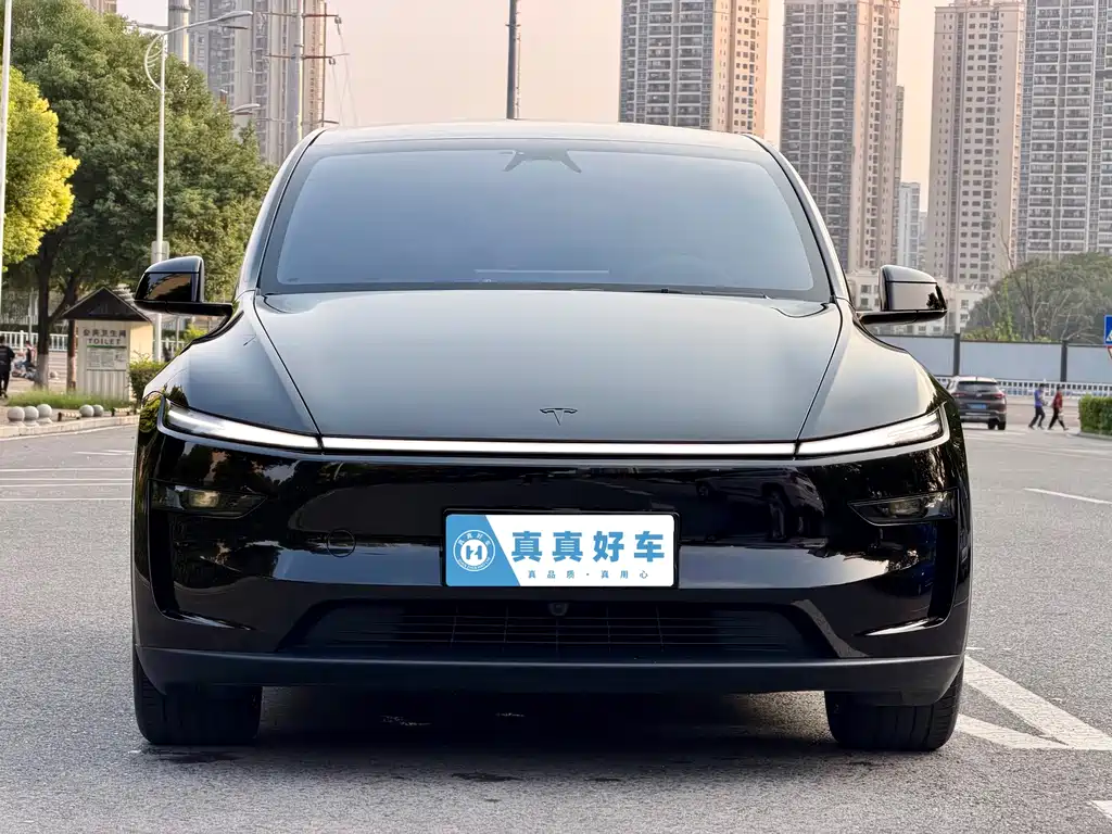 Tesla Model Y L — миниатюра 2