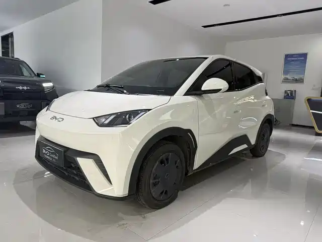 2025 BYD Seagull