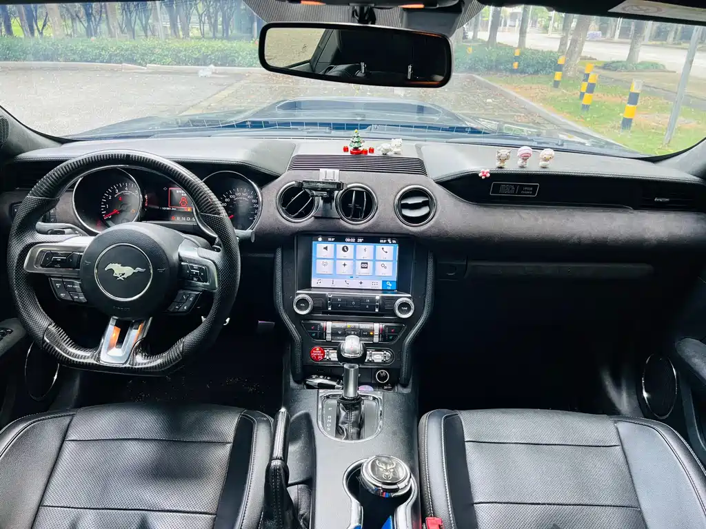 Ford Mustang — миниатюра 12