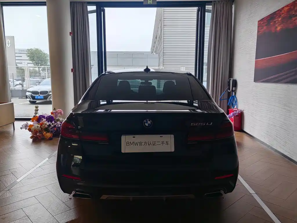 BMW 5 Series — миниатюра 5