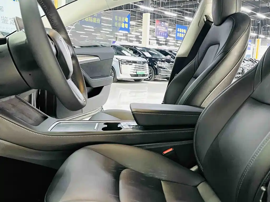 Tesla Model 3 — миниатюра 6