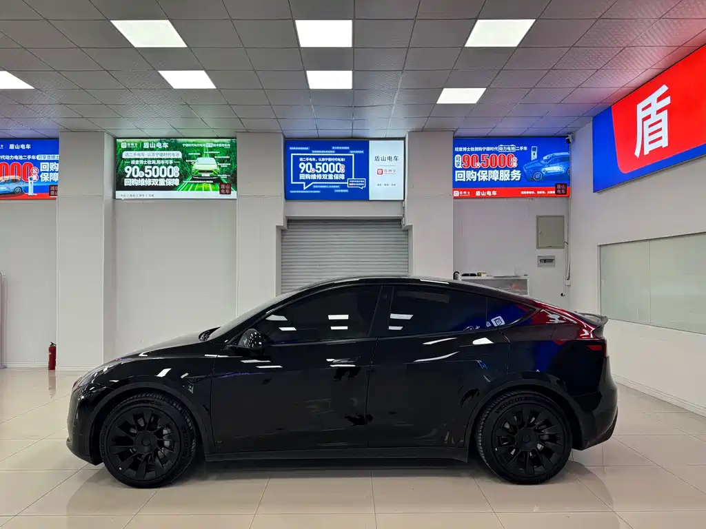 Tesla Model Y — миниатюра 3