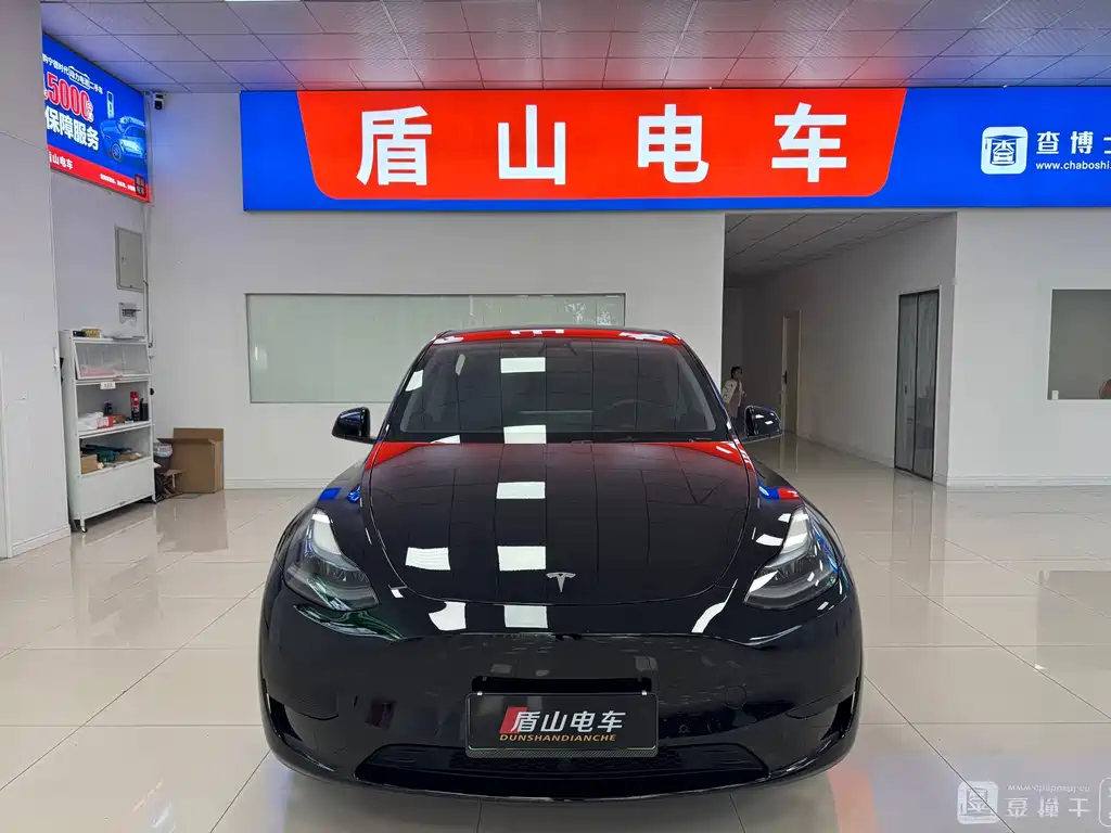 Tesla Model Y — миниатюра 2