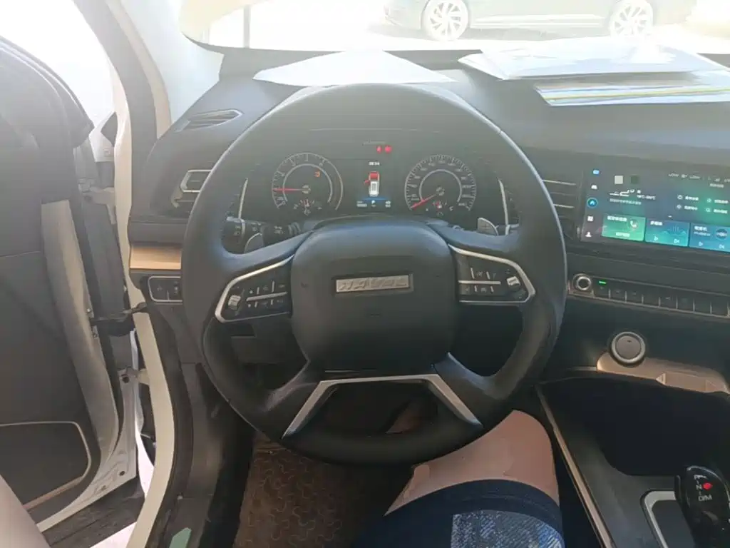 Haval H6 — миниатюра 11