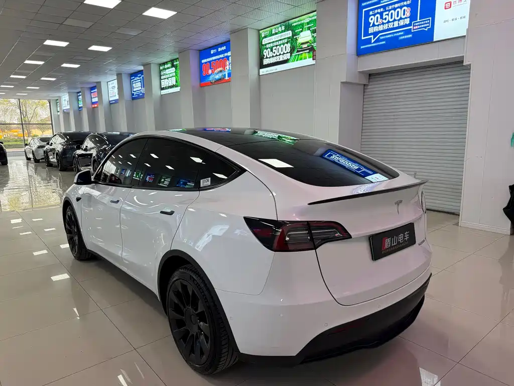 Tesla Model Y — миниатюра 4