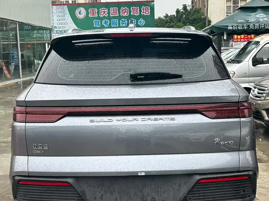 BYD Pro New Energy — миниатюра 8
