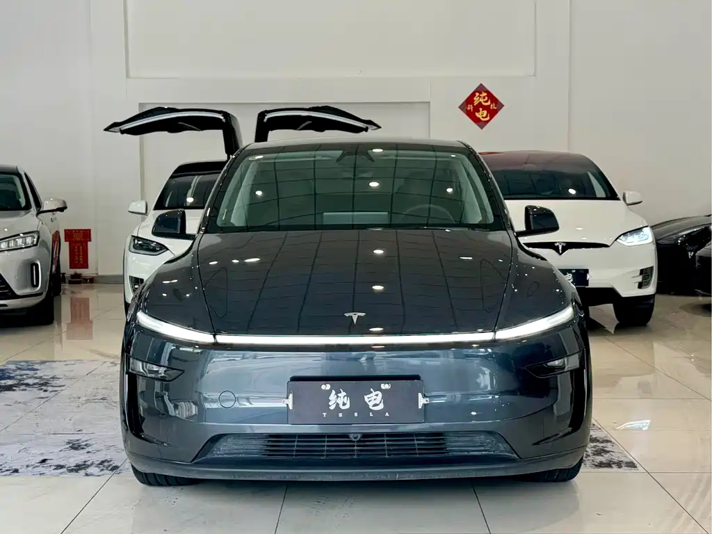 Tesla Model Y — миниатюра 2