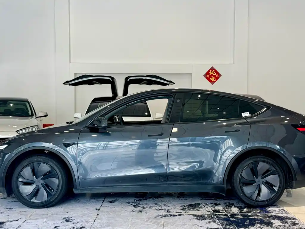 Tesla Model Y — миниатюра 7