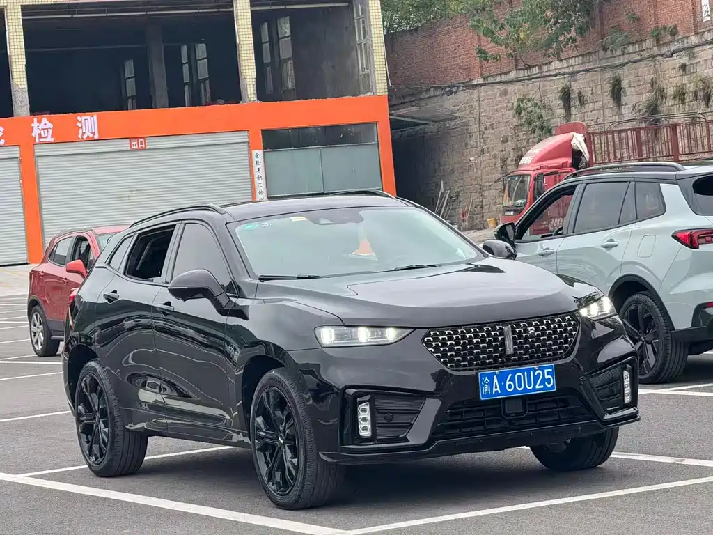 WEI PAI WEI BRAND VV7