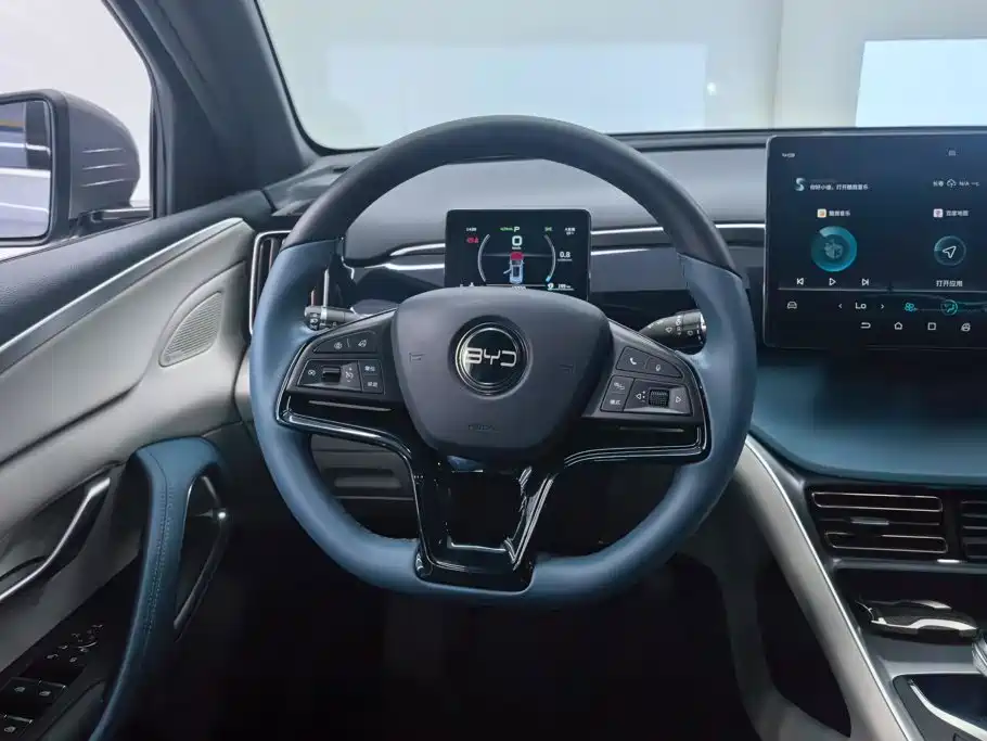 BYD Pro — миниатюра 15