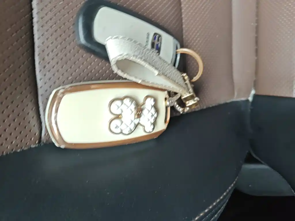 Geely Emgrand GS — миниатюра 9