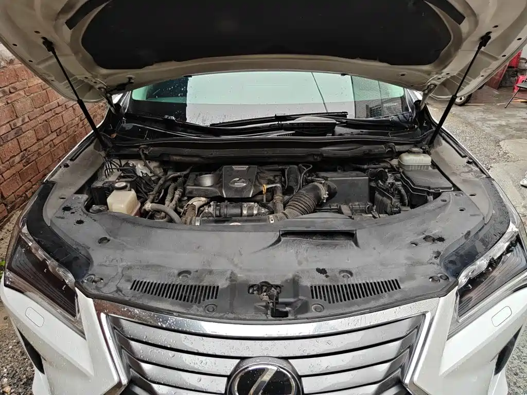 Lexus RX — миниатюра 11