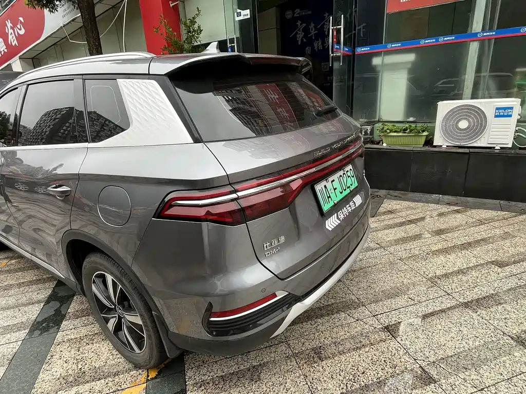 BYD Pro New Energy — миниатюра 3