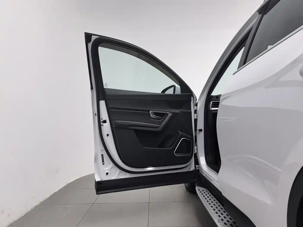 BYD Pro — миниатюра 8