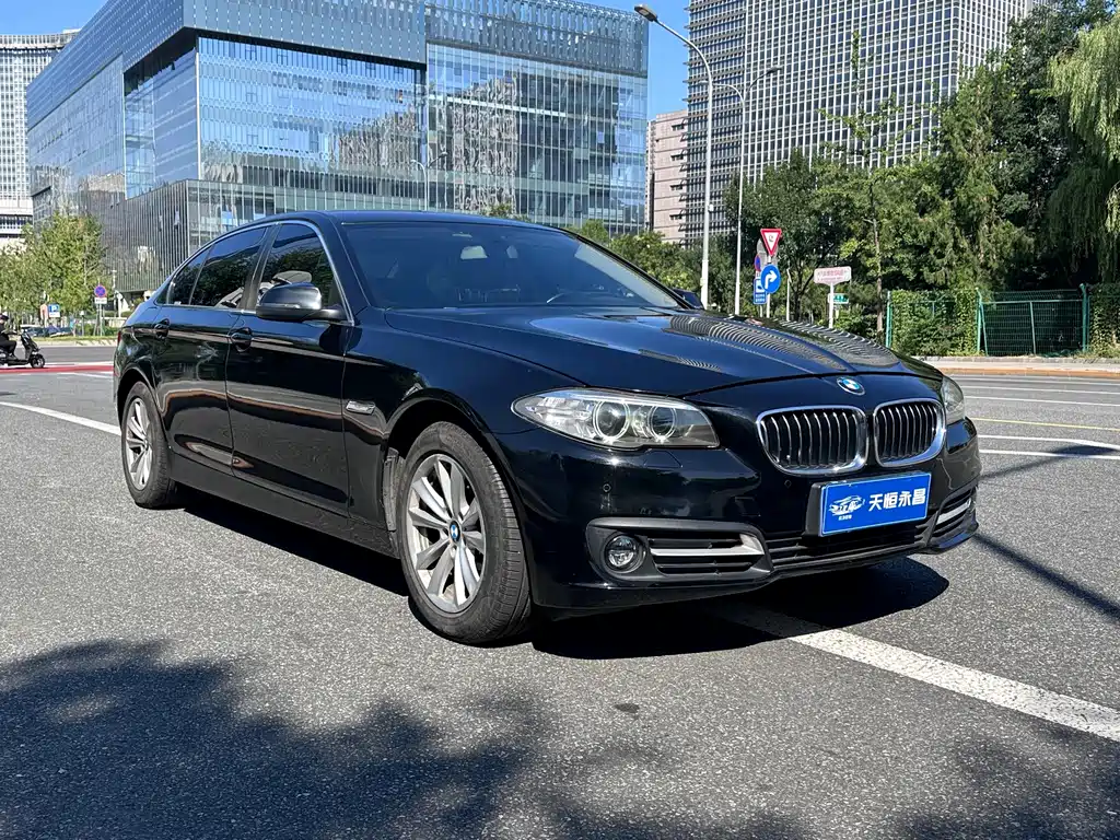 BMW 5 Series — миниатюра 5