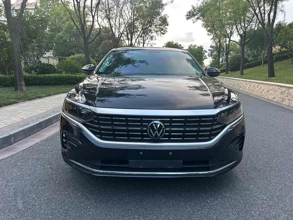 Volkswagen Passat — миниатюра 3