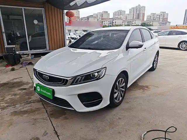 2020 Geely Binrui