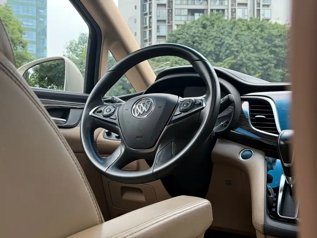 Buick GL8 — миниатюра 14