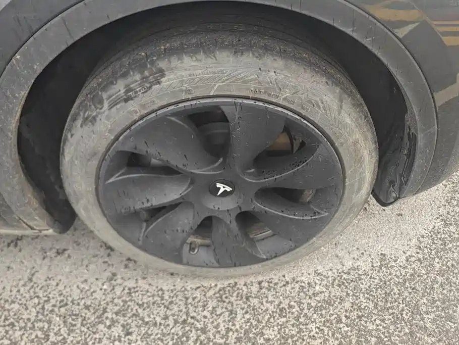 Tesla Model Y — миниатюра 6