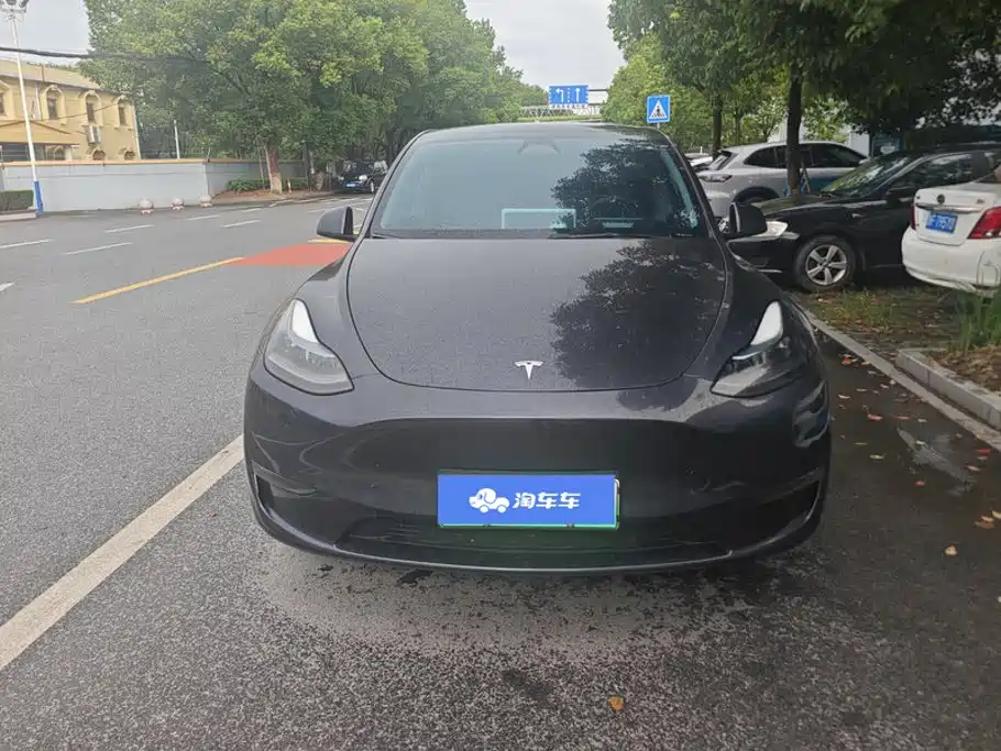 Tesla Model Y — миниатюра 2