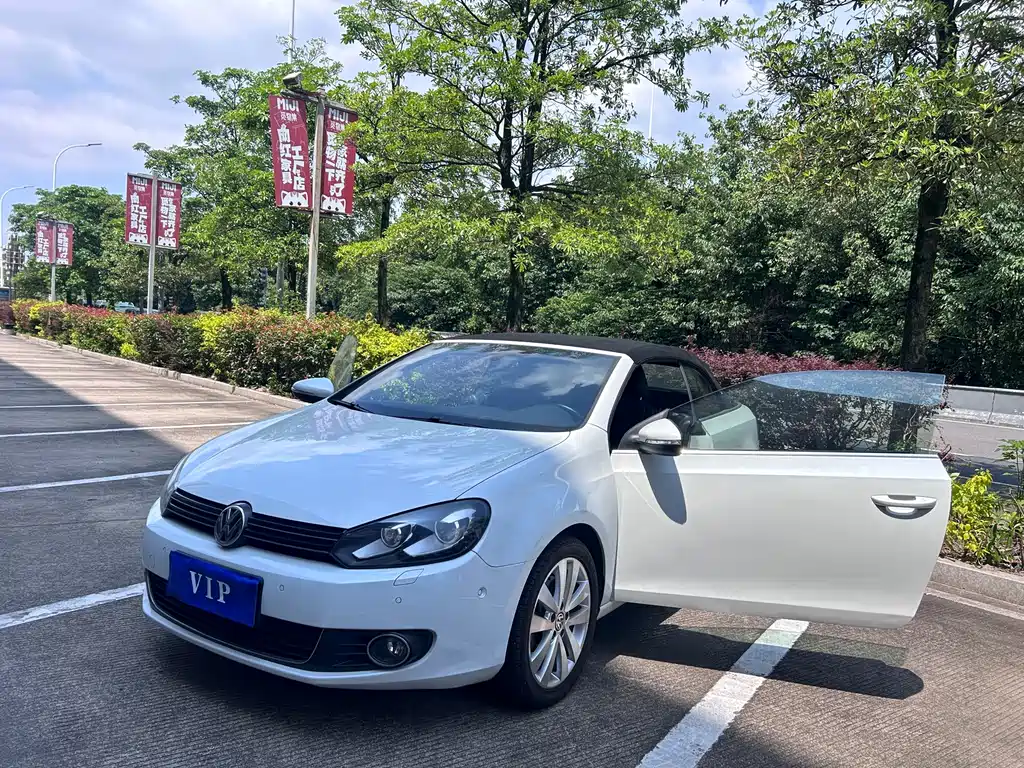 Volkswagen Golf (Import) — миниатюра 2