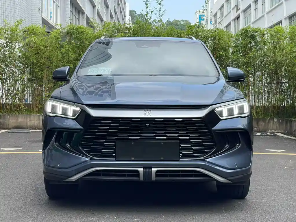 BYD Pro New Energy — миниатюра 2