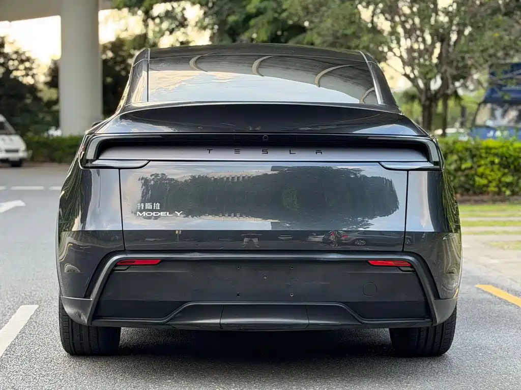 Tesla Model Y — миниатюра 12