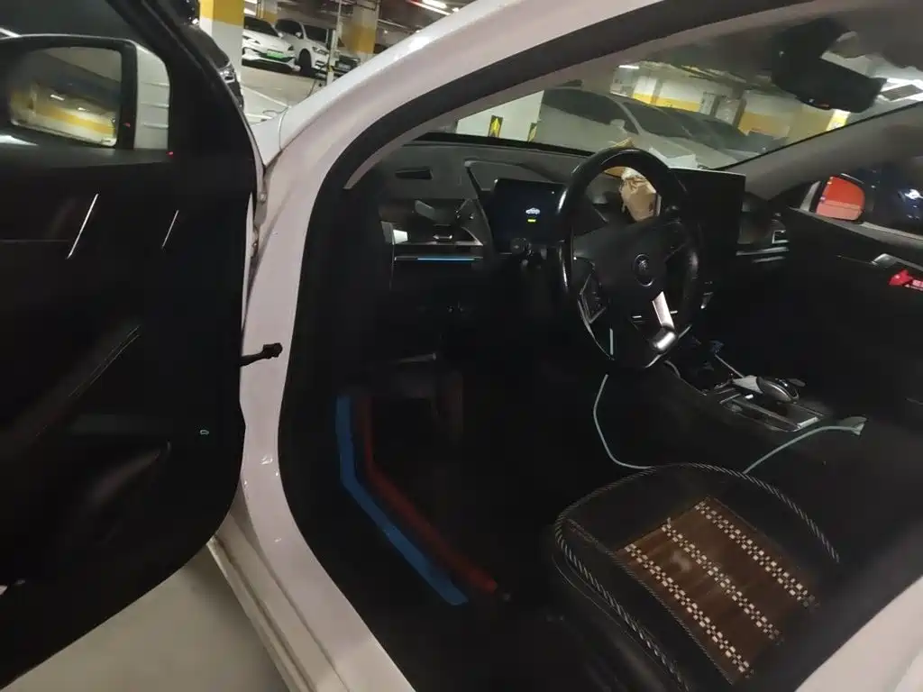 BYD Qin Pro NEV — миниатюра 14