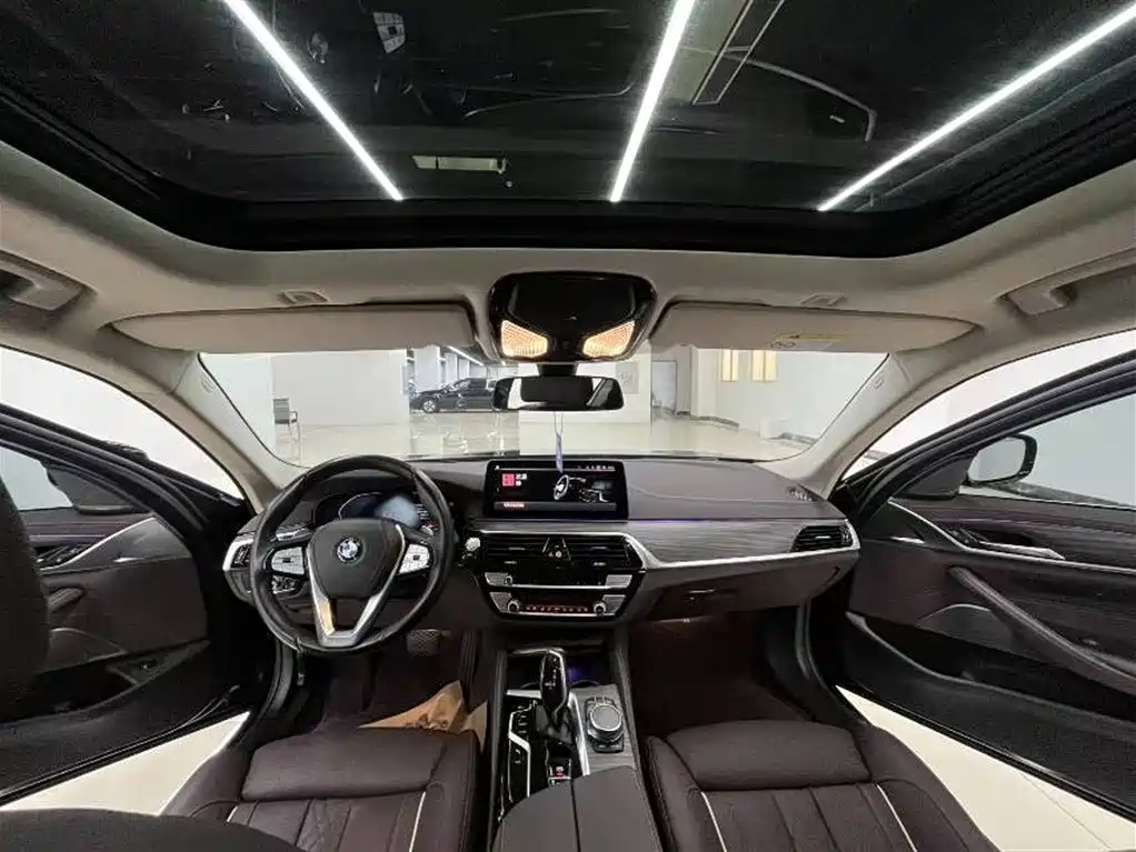 BMW 5 Series 5 2021 530Li Premium Luxury