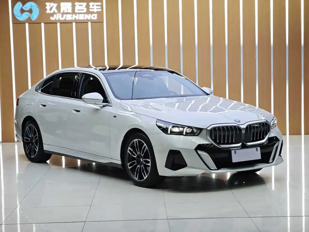 BMW 5 Series — миниатюра 3