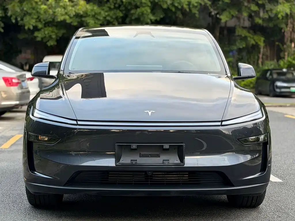 Tesla Model Y — миниатюра 4