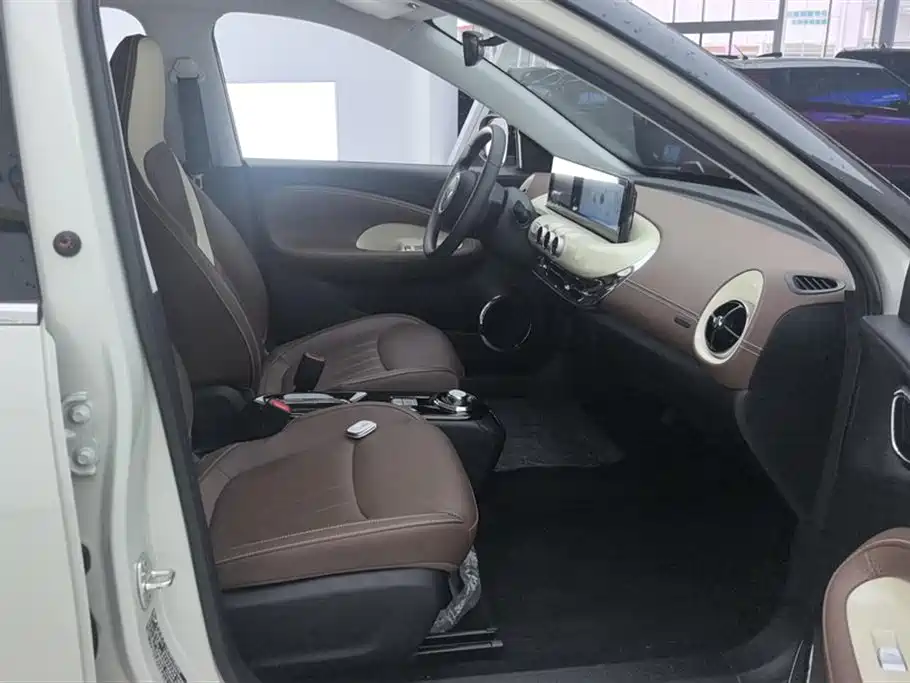 Wuling Binguo 2024 333km Enjoy