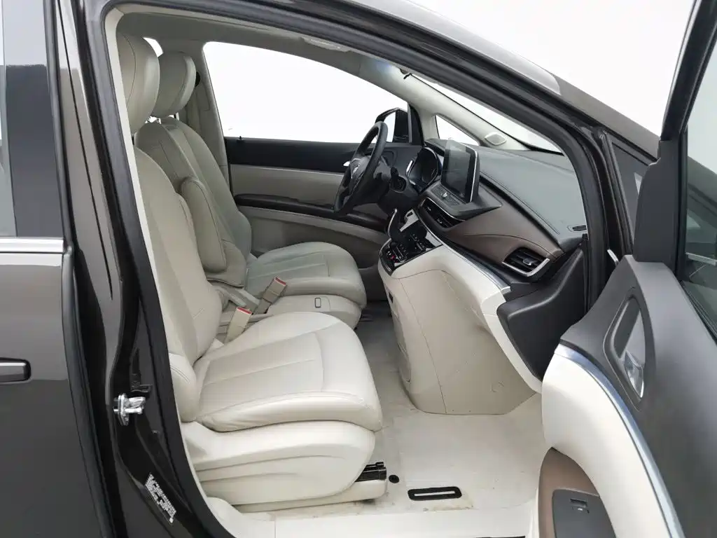 Buick GL8 — миниатюра 23