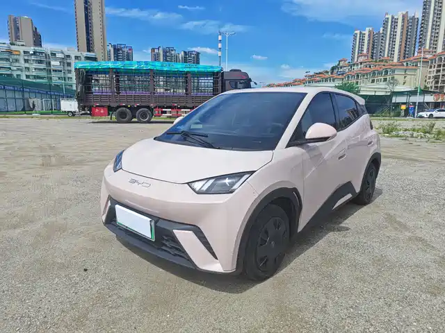 BYD 海鸥
