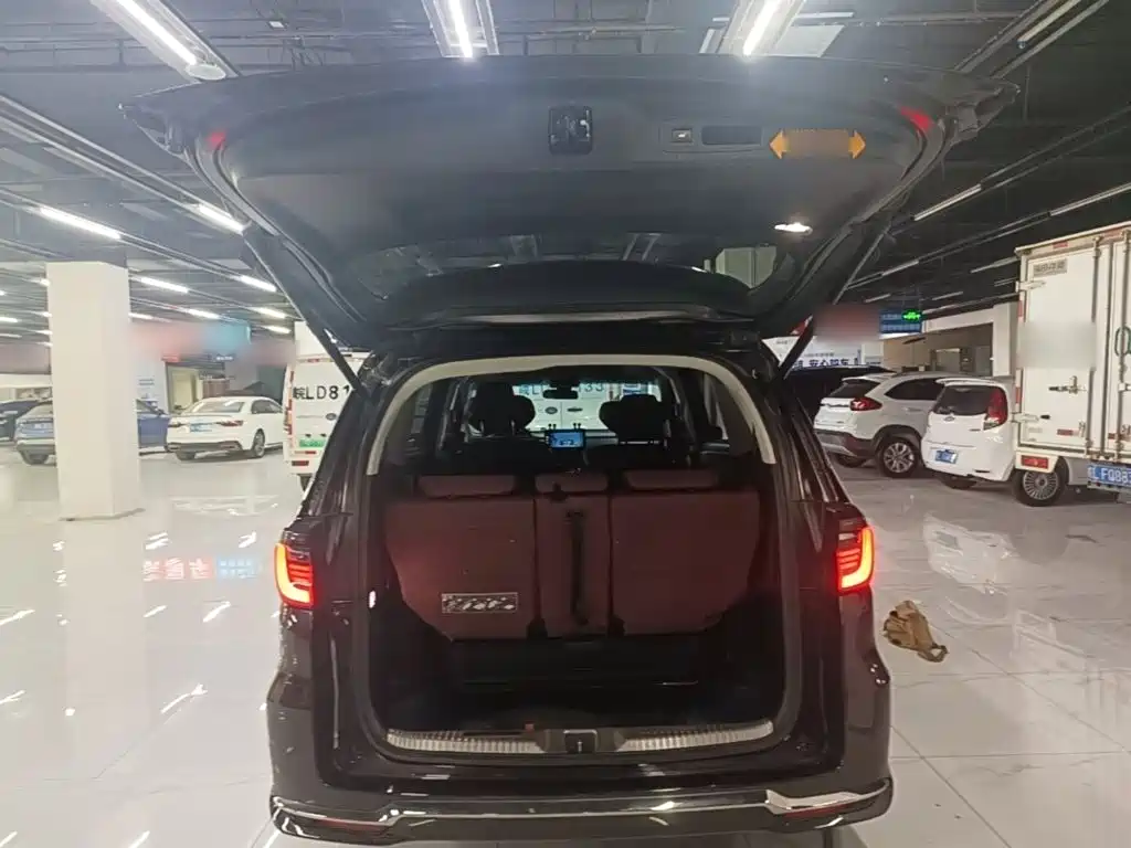 Honda Elysion — миниатюра 19
