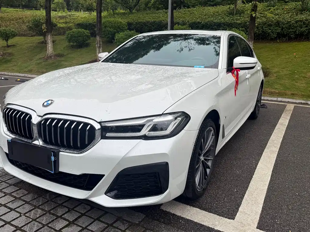 BMW 5 Series 5 2023 530Li Lead M Sport