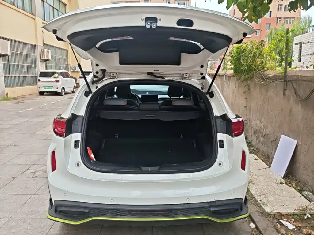 Haval Chitu — миниатюра 19