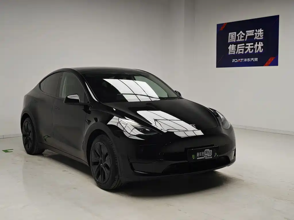 Tesla Model Y — миниатюра 3