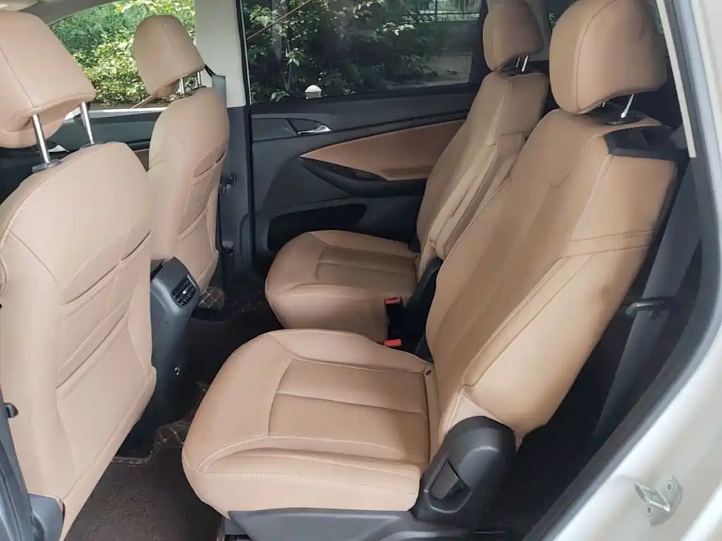 Buick GL6 — миниатюра 17