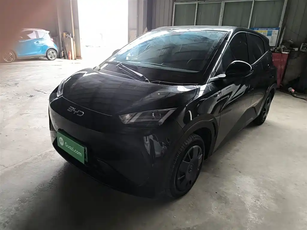 Byd Seagull 2025