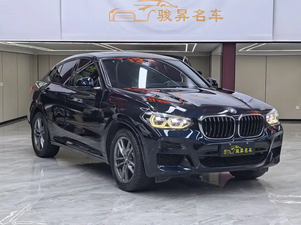 BMW X4 2019 xDrive25i M Sport