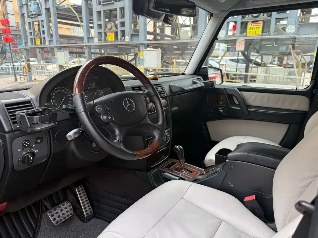 Mercedes-Benz G-Class G 2010 G 500