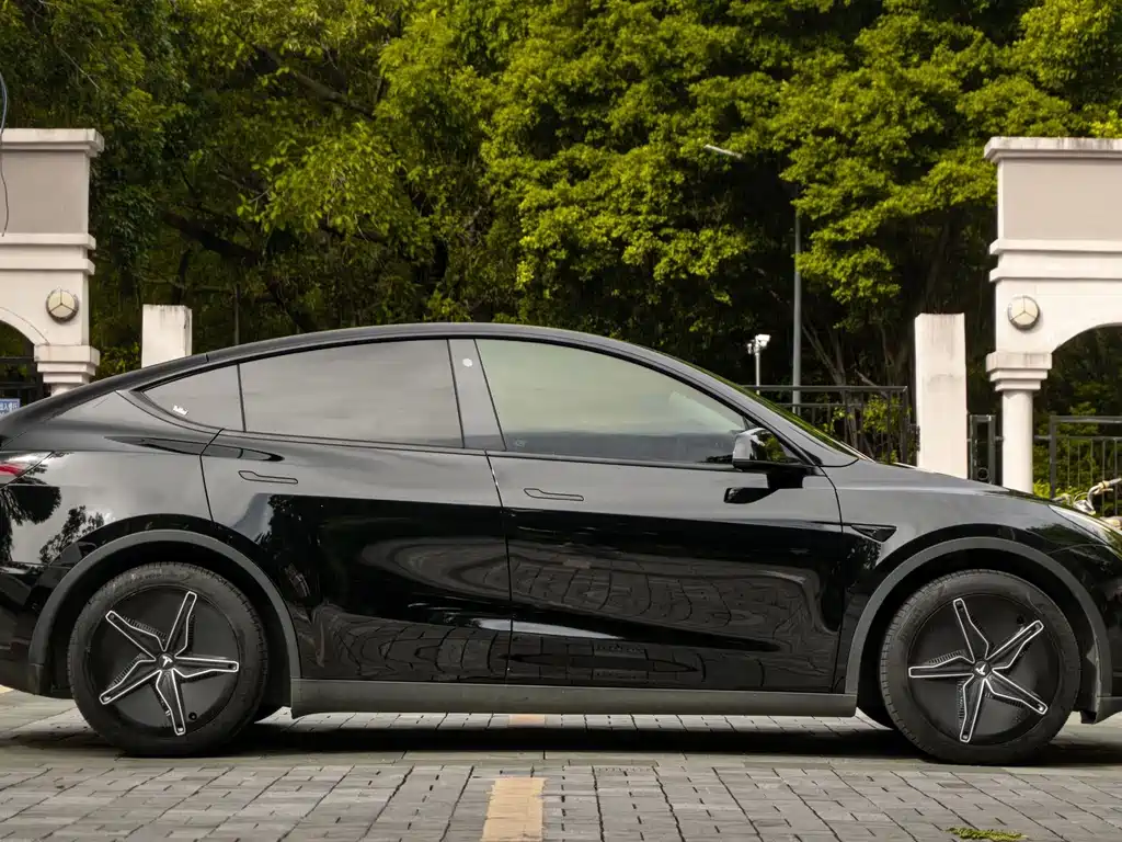 Tesla Model Y — миниатюра 4