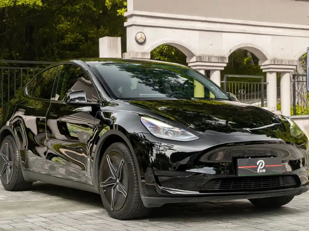Tesla Model Y — миниатюра 3