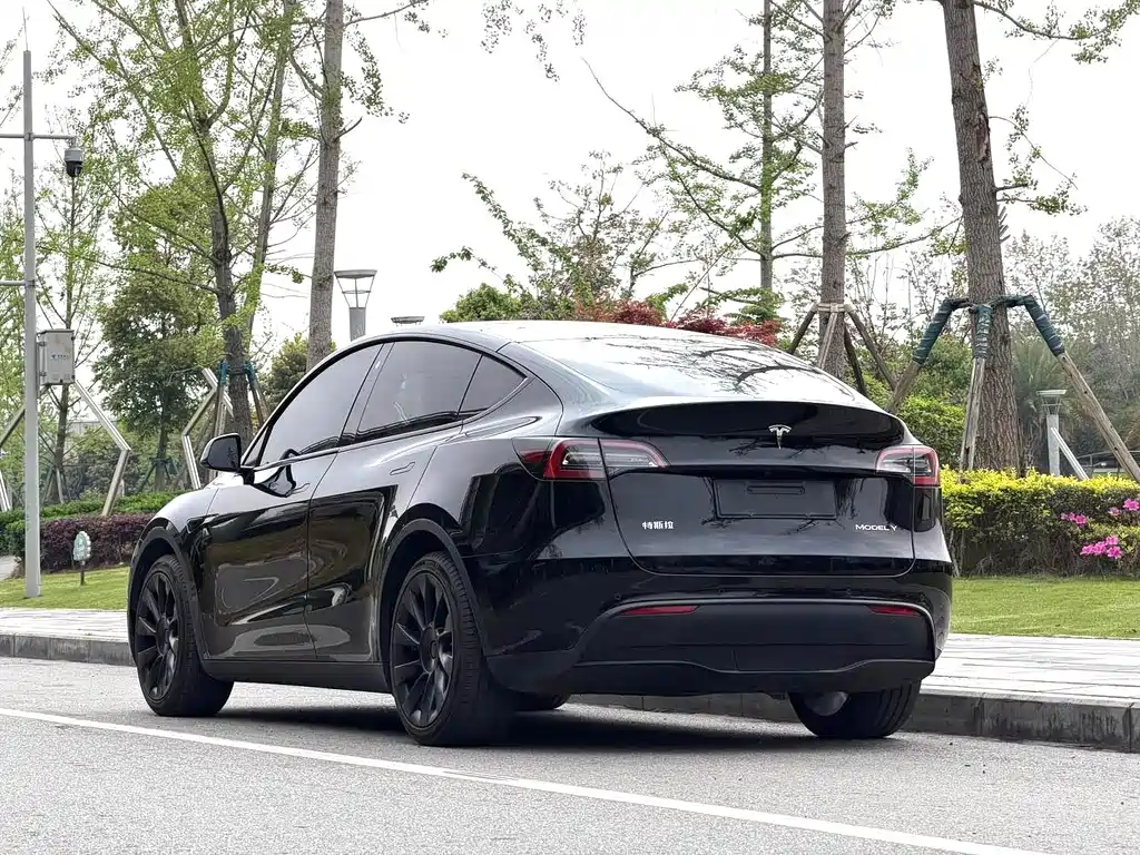 Tesla Model Y — миниатюра 13