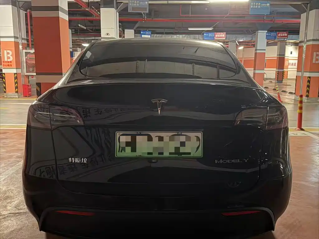Tesla Model Y — миниатюра 10