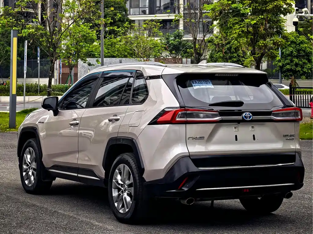 Toyota Wildlander 2020 2.5L E-CVT Luxury